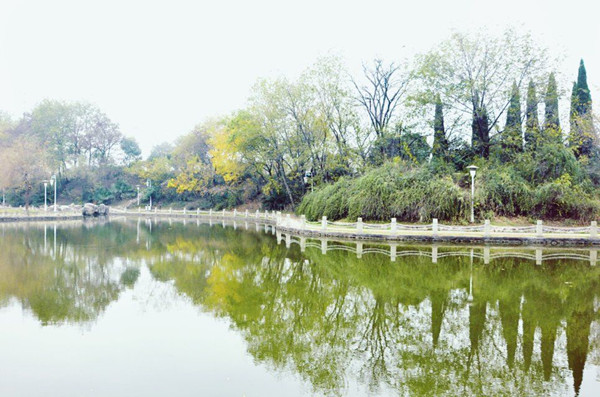 QQ图片20151122151154.jpg QQ图片20151122151154.jpg